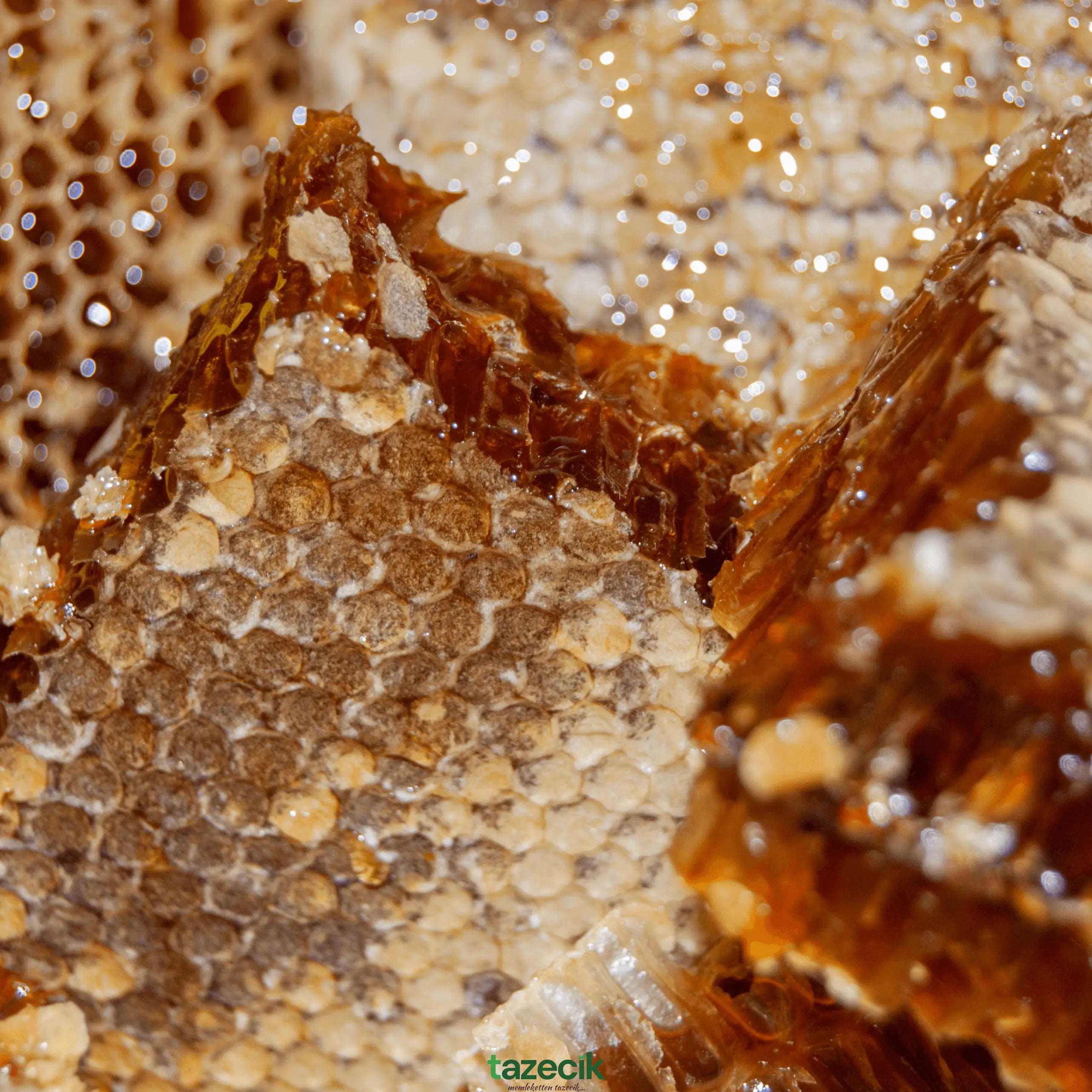 Karakovan Petek Balı - Katkısız - 600-650gr Tazecik