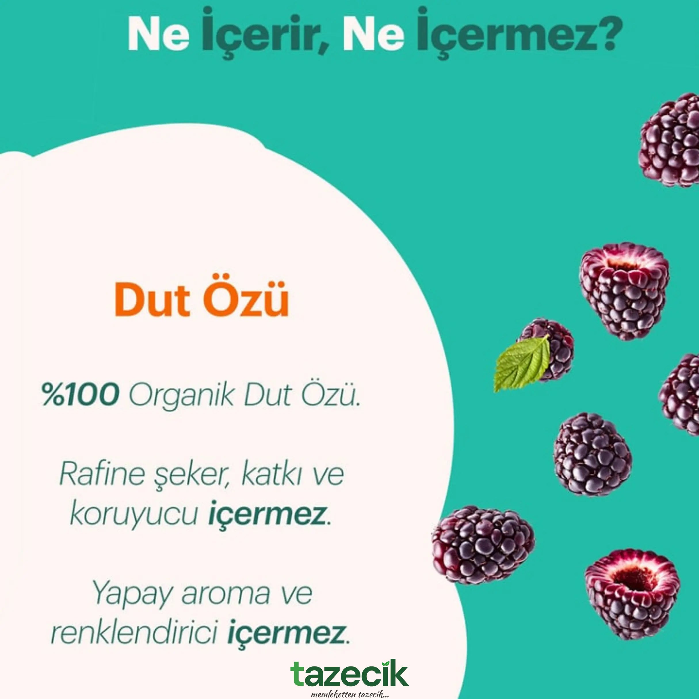 Organik Dut Özü- BeyOrganik 315 gr Tazecik